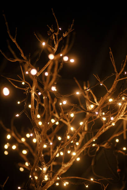 istock Stylish light bulbs and christmas lights on tree branches in town square in evening. Moody festive decor in city street. Atmospheric winter holidays 1440045961