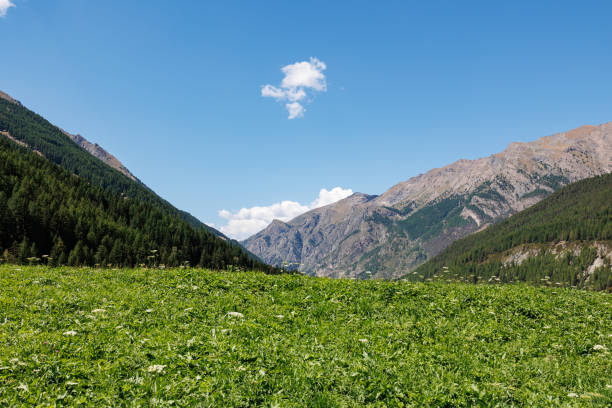 chaîne de montagnes des alpes italiennes par une journée d’été ensoleillée - vue sur la prairie verte et le ciel bleu - grass area hill sky mountain range photos et images de collection