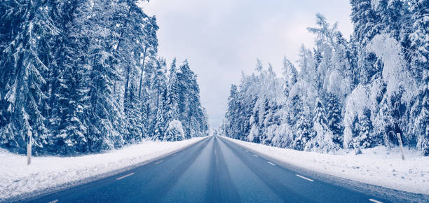 istock Empty asphalt road in snowy forest in winter 1440048291