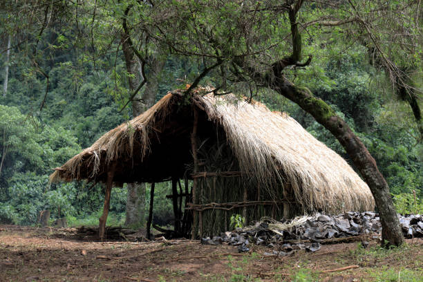 istock house of coffee farm guard 1440048383