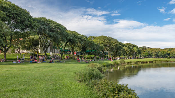 отдых в парке бариги, куритиба, штат парана, бразилия - beauty in nature blue bush color image стоковые фото и изображения