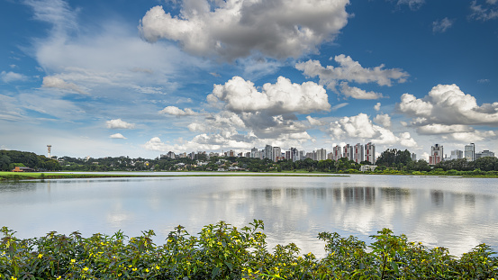 Barigui Park is one of the many urban parks in the city of Curitiba. It has a beautiful lake where wild animals bathe and feed themselves. It is quite frequented by the people of Curitiba, who use it for leisure and sports.