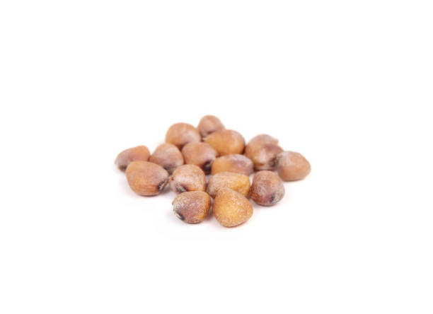 istock Isolated radish seeds in a pile, close up. 1440048489