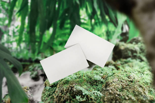 istock Clean minimal business card mockup floating on moss with plants background 1440050797