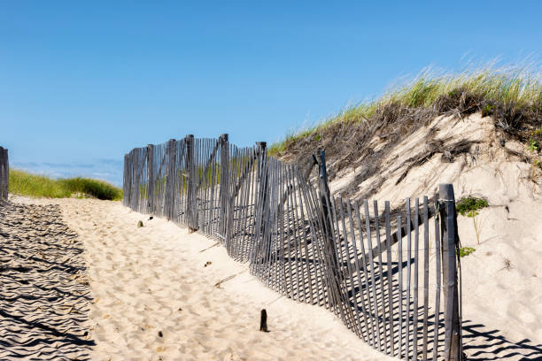 istock Natural Scenic Area shoreline on Cape Cod, Massachusetts. 1440050920