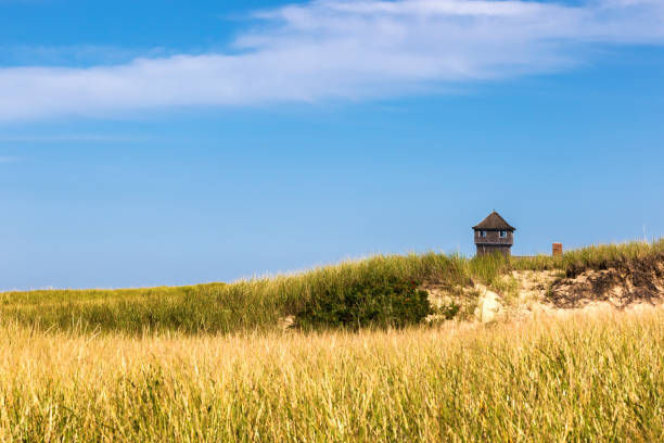 istock Natural Scenic Area shoreline on Cape Cod, Massachusetts. 1440051026