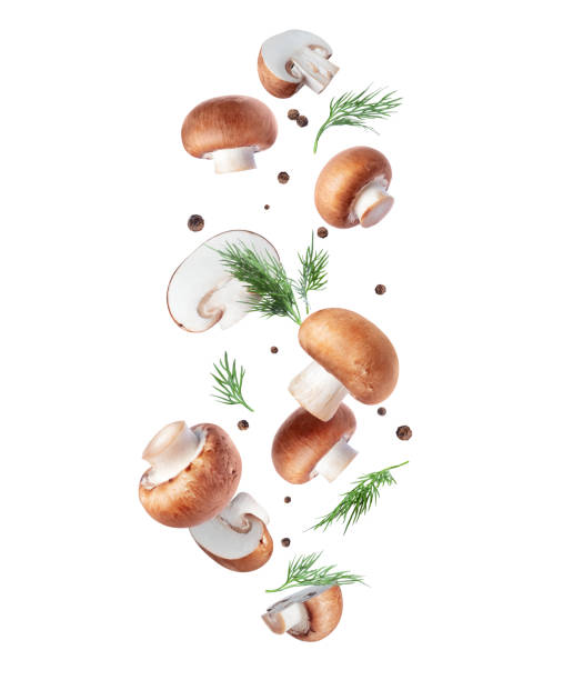 istock Royal Brown champignons with allspice and dill isolated on a white background 1440053204