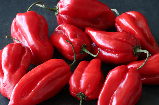 Stock photo showing close-up view of whole mini, red bell peppers on a black background. Mini peppers are smaller and sweeter than larger bell peppers (Capsicum).