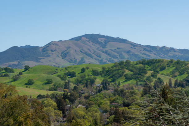 View of Mount Diablo across lush green hills. Vista looking east past rolling green hills to Mount Diablo in the East Bay, California on a clear blue sky day. contra costa county stock pictures, royalty-free photos & images