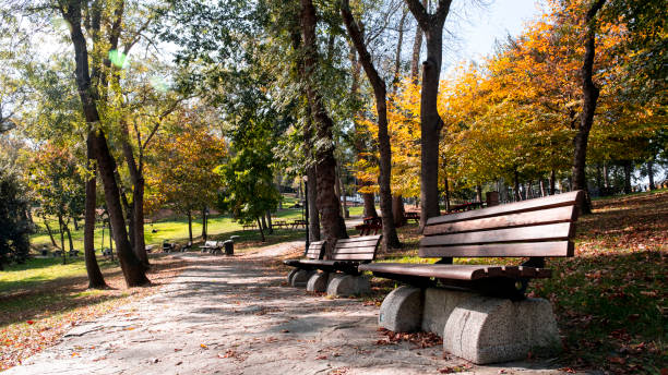 istock Seating areas in the park 1440060906