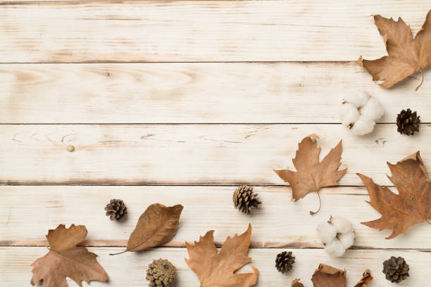 istock Flat lay composition with autumn leaves on wooden background, top view 1440061226