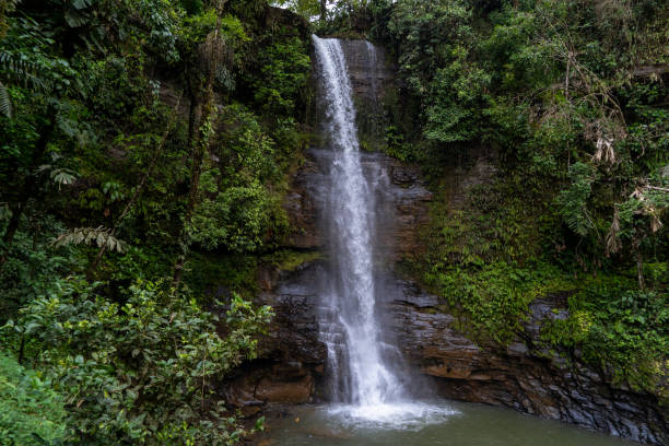 istock Beautiful and incredible waterfall in Ecuador 1440061883