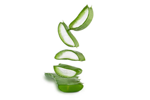 istock aloe vera fresh slices and leaves isolated on white background 1440063061