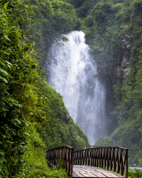 istock Beautiful and incredible waterfall in Ecuador 1440064305