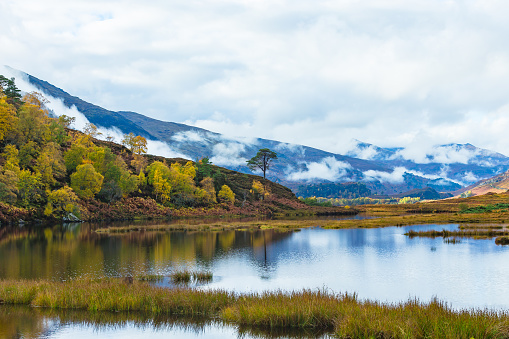 Glen Strathfarrar in Autumn with low cloud over the mountains, Scots Pine trees and reflections in the loch.  Scottish Highlands.  Horizontal.  Space for copy