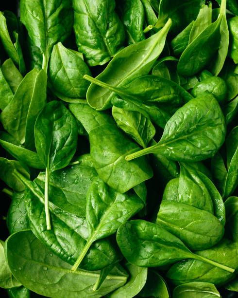 Fresh green baby spinach leaves. Fresh green baby spinach leaves close up. spinach stock pictures, royalty-free photos & images