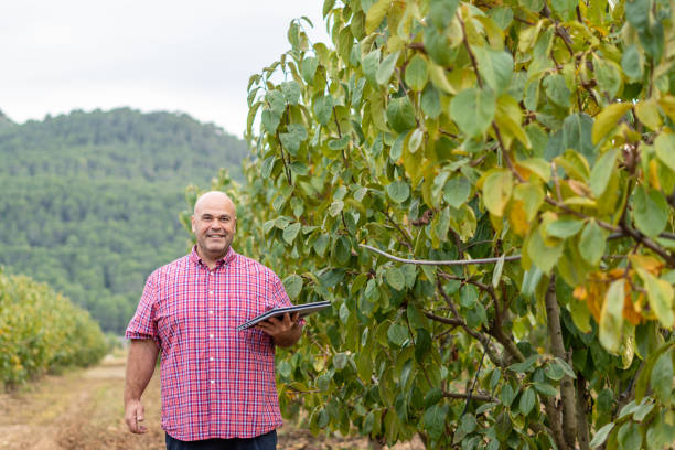 istock smiling man agronomist harvest laptop 1440067842