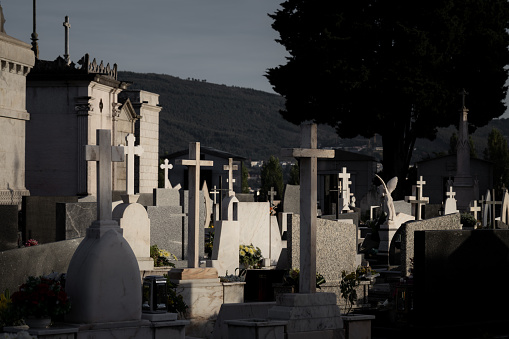 Grave stones in a grave yard