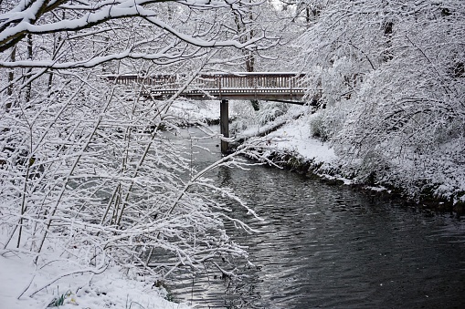There are snow-covered bushes and trees on the edges of the river. A snow-covered bridge over the river and everywhere trees and bushes in the snow. Winter in the city park of Bad Aibling.