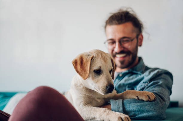 istock Man petting his adopted dog while sitting on the couch at home 1440069262