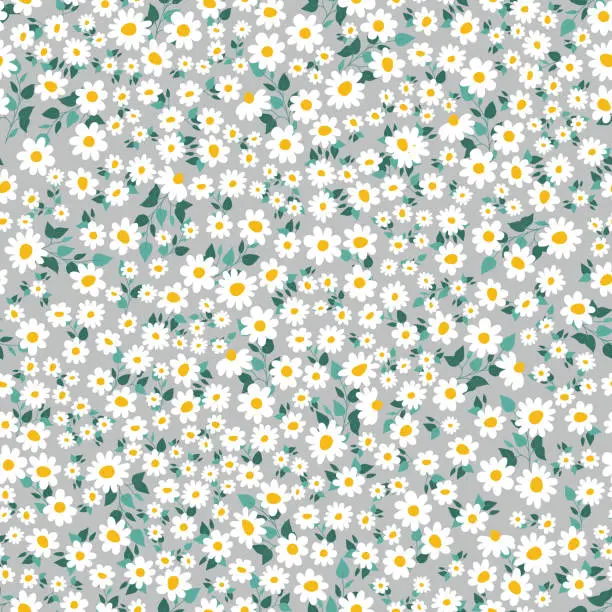 Vector illustration of Beautiful floral pattern in small daisies. Ditsy print. Floral seamless background. Vintage template for fashion prints.