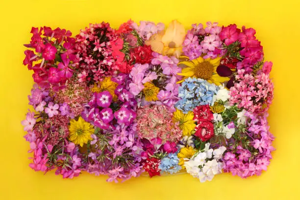 Photo of Floral arrangement of a variety of flowers.