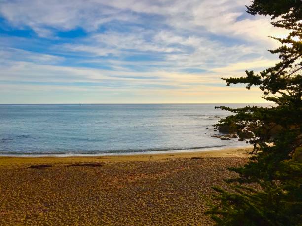 istock Central California Coastline 1440071575