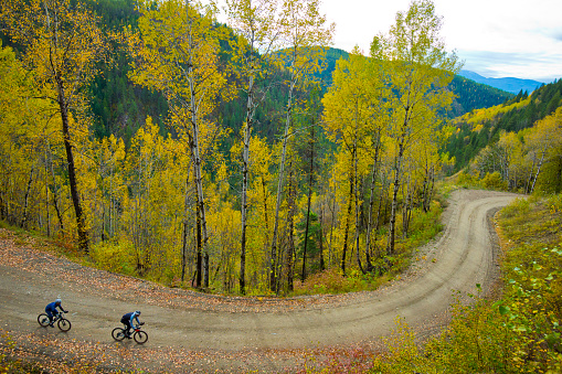 Two men ride their gravel bikes down a winding, country road in the mountains of British Columbia, Canada in October. Gravel bicycles are similar to road bicycles but have oversized, sturdy tires for riding on rough terrain.