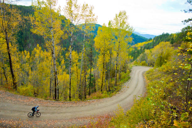North Fork of The Boise River in Idaho