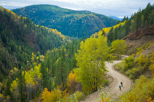 Two men ride their gravel bikes down a winding, forestry road in the mountains of British Columbia, Canada. Gravel bicycles are similar to road bicycles but have oversized, sturdy tires for riding on rough terrain.