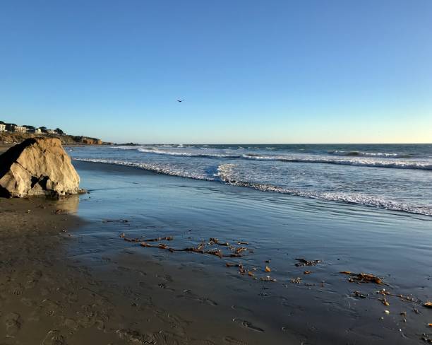 istock Central California Coastline 1440073475