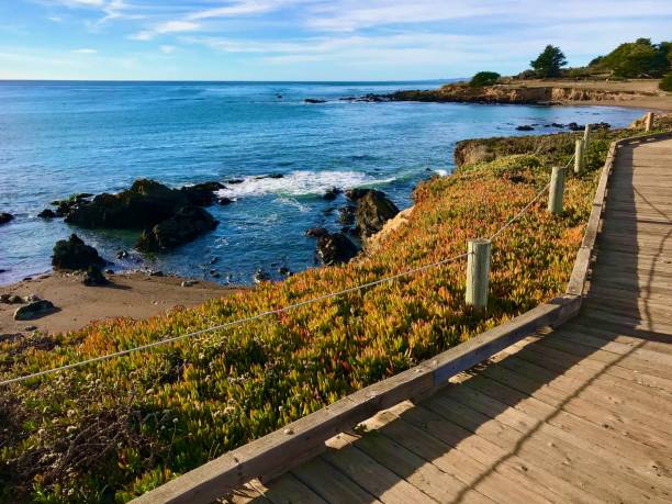 istock Central California Coastline 1440075124