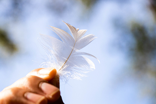 A hand holds a wispy white feather against a blue sky