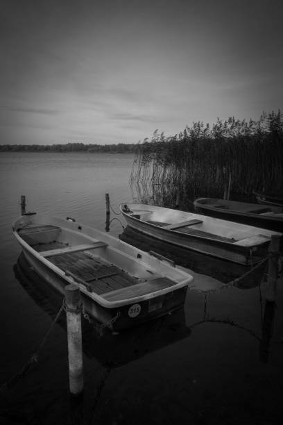 on a lake rowboats lying side by side the shore in water in black white