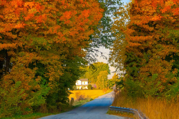 Country Road with fall leaf colors-Howard County, Indiana