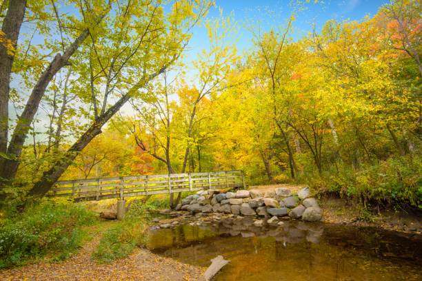 istock Fall leaf color with wooden bridge and stream-Hamilton County, Indiana 1440083855