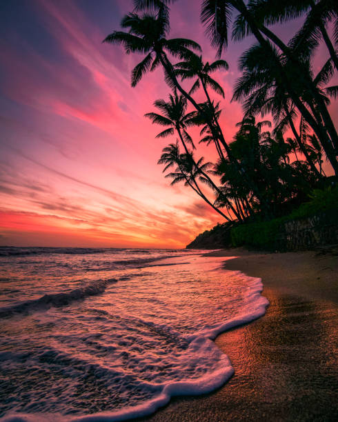 zuckerwatte  - oahu water sand beach stock-fotos und bilder