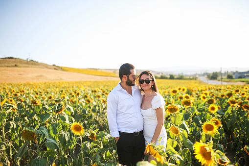 The newly wedded young lovers in the sunflower field at sunset have their wedding photo taken.