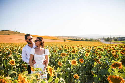 The newly wedded young lovers in the sunflower field at sunset have their wedding photo taken.