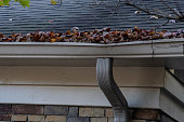 istock Gutters needing cleaning 1440089032