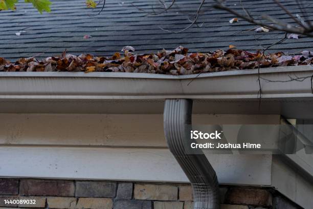 Gutters Needing Cleaning Stock Photo - Download Image Now - Roof Gutter, Cleaning, Damaged