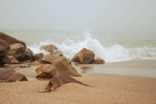 istock Autumn at Miramar Beach 1440092459