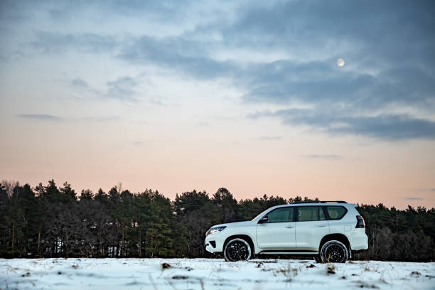 White SUV Offroad car Toyota Land Cruiser 150 Prado stands in a snowy forest. Field, green pines and the moon. stock photo