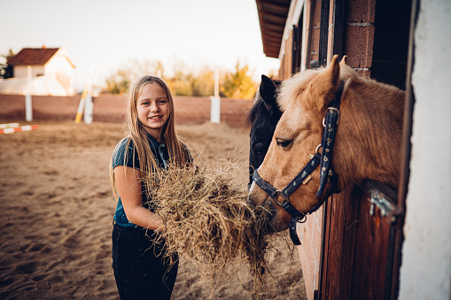 The girl feeds the horse