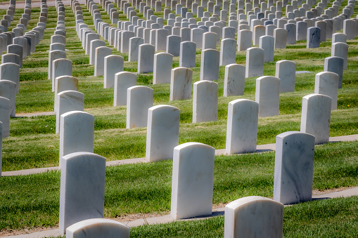 Military cemetery headstones for servicemen and women of the United States military