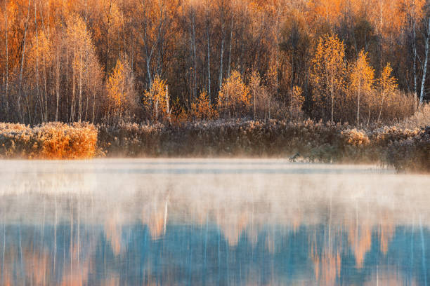 Fog above the lake at autumn morning.