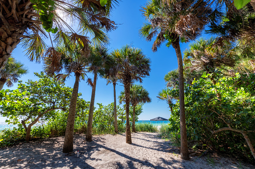 Palm trees at sunny day in beautiful tropical beach in paradise island in Florida Keys. Summer vacation and tropical beach concept.