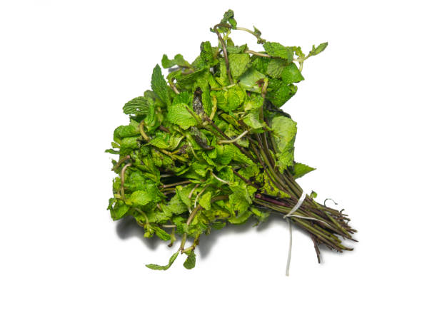 istock Mint leaves on a white background. A bunch of useful grass. plant isolate. Fragrant tea component. 1440109909