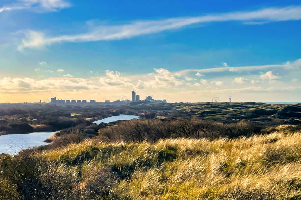 The Hague, Netherlands - December 08 2021 : the skyline of the international city of The Hague visible over the dunes with a blue cloudy dutch sky