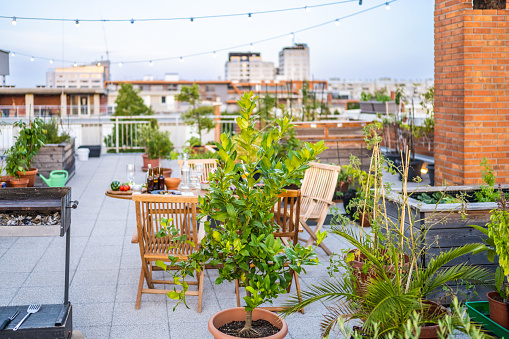 Nice view of city rooftop dinner party with string light and many green plants around